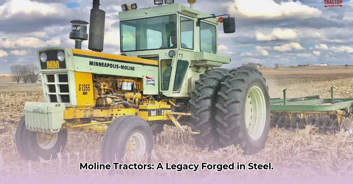 moline-tractor
